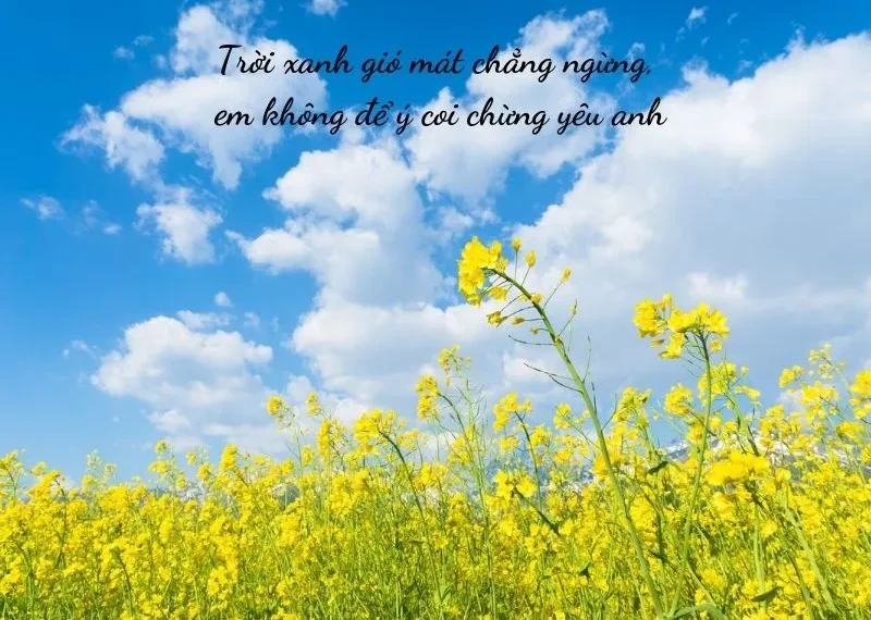 cap tha thính mùa hè ngắn hài hước