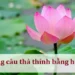 Những câu thả thính bằng hoa sen ấn tượng