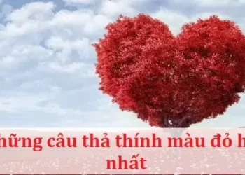 Những câu thả thính màu đỏ hay nhất