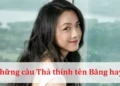 Những câu Thả thính tên Băng thật hay