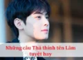 Những câu Thả thính tên Lâm tuyệt hay