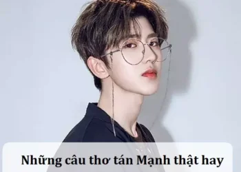 Những câu thơ tán Mạnh thật hay