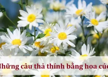 Những câu thả thính bằng hoa cúc