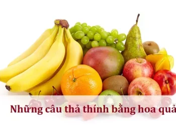 Những câu thả thính bằng hoa quả