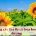 Những câu thả thính hoa hướng dương