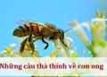 Những câu thả thính về con ong