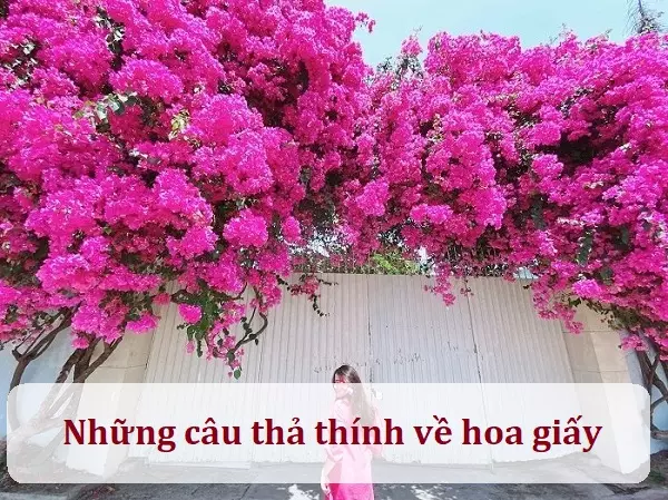 Những câu thả thính về hoa giấy