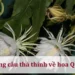 Những câu thả thính về hoa Quỳnh