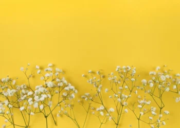 Những câu thả thính về màu vàng