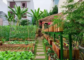 Những câu thả thính về vườn rau