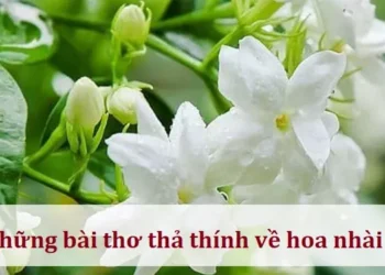 Những bài thơ thả thính về hoa nhài