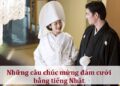 Những câu chúc mừng đám cưới bằng tiếng Nhật