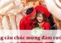 Những câu chúc mừng đám cưới hay