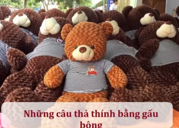 Những câu thả thính bằng gấu bông