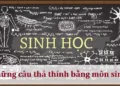 Những câu thả thính bằng môn sinh