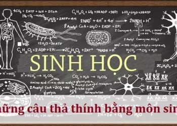 Những câu thả thính bằng môn sinh