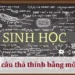 Những câu thả thính bằng môn sinh