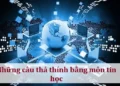 Những câu thả thính bằng môn tin học