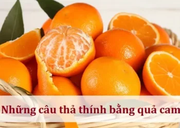 Những câu thả thính bằng quả cam