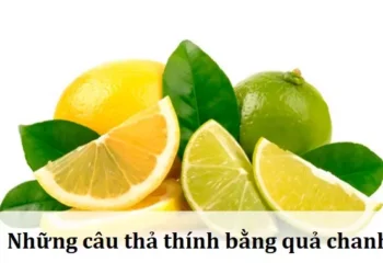 Những câu thả thính bằng quả chanh