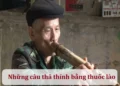 Những câu thả thính bằng thuốc lào