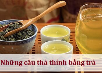 Những câu thả thính bằng trà