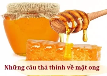 Những câu thả thính về mật ong