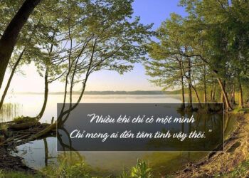 Những câu thả thính về rừng tuyệt vời nhất