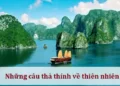 Những câu thả thính về thiên nhiên ấn tượng