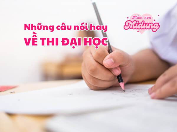 Những câu nói hay về đại học