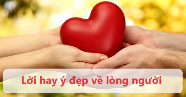 Những lời hay ý đẹp về tình người