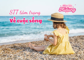 Những câu stt tâm trạng về cuộc sống