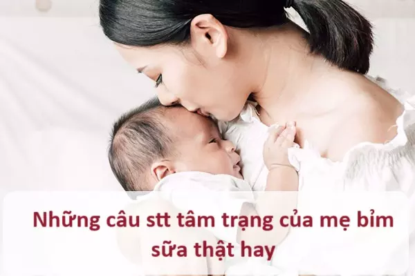 Những câu stt tâm trạng của mẹ bỉm sữa thật hay