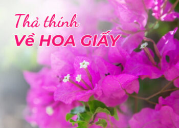 Thả Thính Về Hoa Giấy