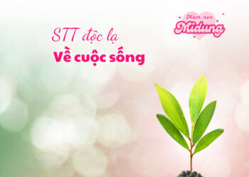 Những câu stt độc lạ về cuộc sống