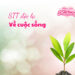 Những câu stt độc lạ về cuộc sống