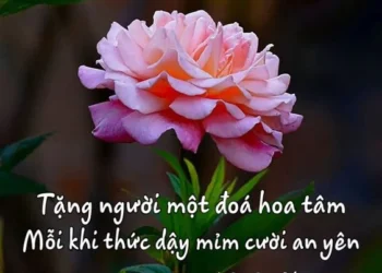 thơ ngắn 2 câu ngẫm sự đời