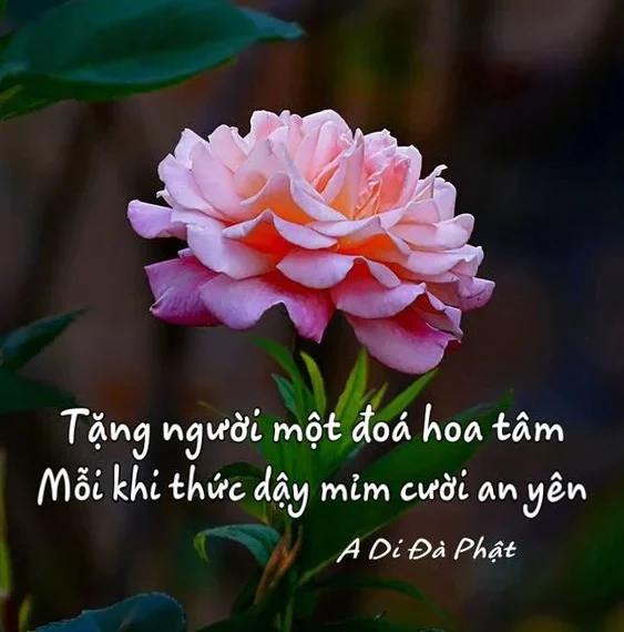 thơ ngắn 2 câu ngẫm sự đời