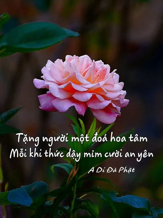 thơ ngắn 2 câu ngẫm sự đời