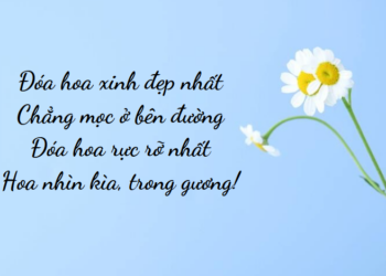 Thả thính tên Hoa