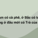 Thả thính tên Trà cuốn hút